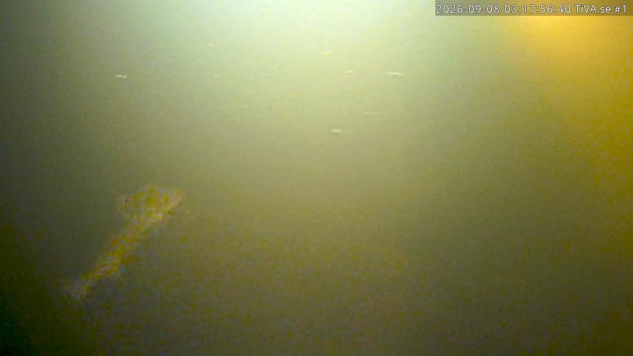 Video 2026-09-08 04:18