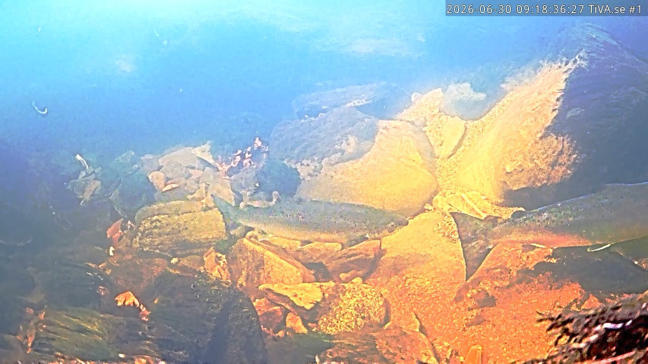 Video 2026-06-30 10:18