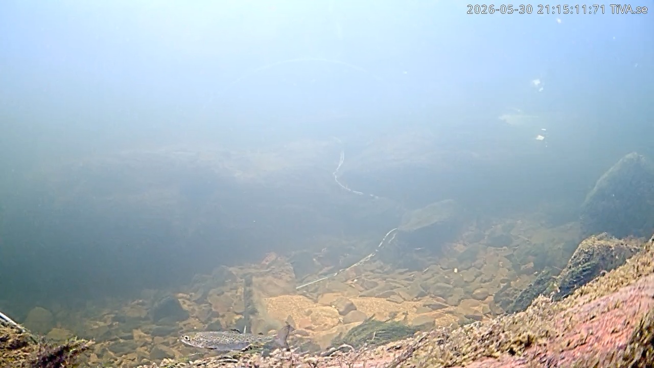 Video 2026-05-30 21:15