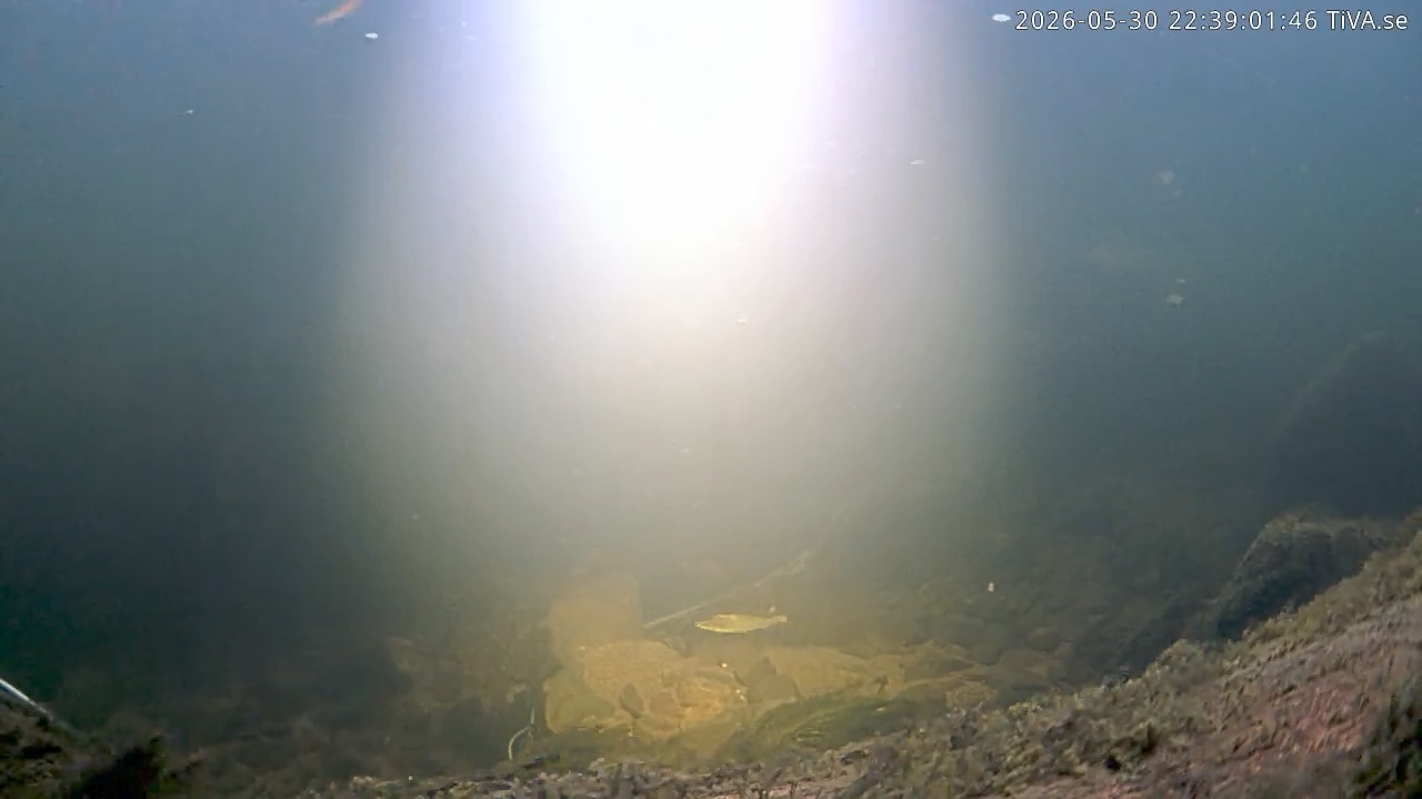 Video 2026-05-30 22:39