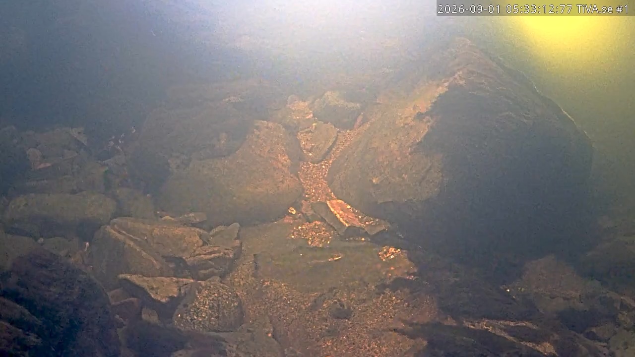 Video 2026-09-01 06:33